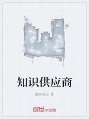 知识供应商
