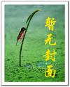丘比大人的契约魔法