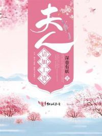 夫人,请加工资